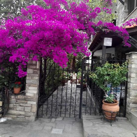 Papatzikos Traditional Guesthouse Néos Marmarás Exterior foto